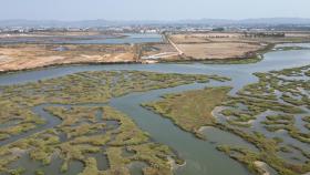 Herdade dos Salgados do Fialho