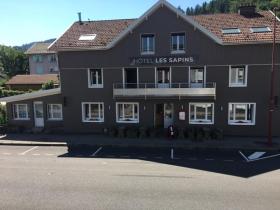 Hotel Les Sapins