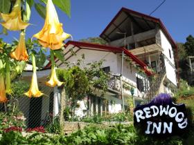 Redwood Homestay