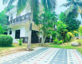 Shine Wave Turtle Beach