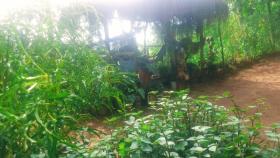 cool View Mohomad homestay