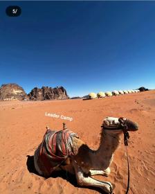 Wadi Rum Leader camp
