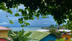 Entire Jungle Cabin w/Ocean view - Bastimentos