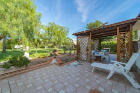 L'Albero del Pepe nr 1