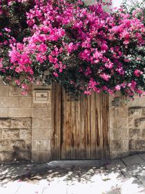 Lemon Tree Residence