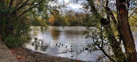 Appartement d'une chambre avec jardin amenage et wifi a Alfortville