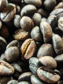 Tetabatu Rice Terrace Homestay