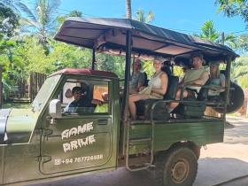 Green park and Eco Tree House