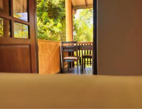 AMOUR AT TURTLE BEACH