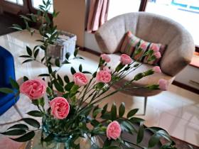 Hotel Stare Miasto Old Town