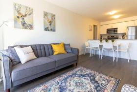 Newly Renovated Modern Condo Near Hospital, UNB Patio & Parking Coffee