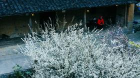 Nhà Cổ Lao Xa Homestay Hmong