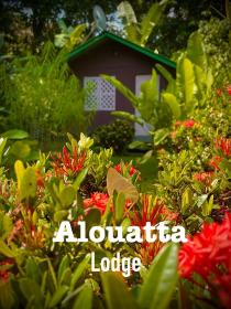 Alouatta Hanging Bridges Adventure and Lodge