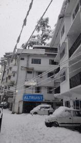 Abuzz Oxfordcaps Simla