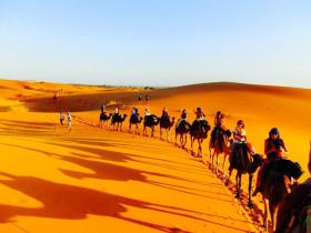 Enjoy Moda Camp Merzouga - Camel Quad Sunboarding ATV