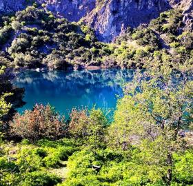 Cabañas Brellenthin