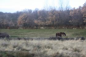 Casa Rural Los Castaños II