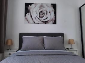 Luxury City Center Apartment - Garofita Romana