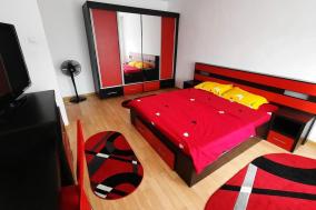 Modern semi-central 1 BR apartment, 3 parks nearby