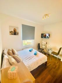 One Bed Studio Flat in Central London