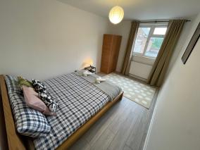 Enormous Family Flat (7 guests)