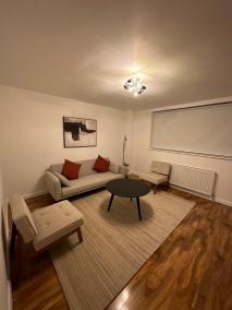Luxury Flat