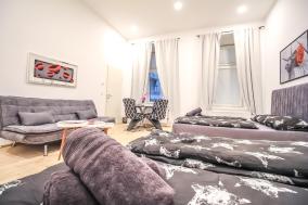 Premium Apartment 7P DW
