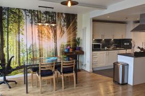 Bright East London flat close to transport, shops & Olympic Park