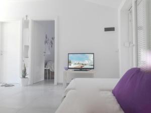 TV a/nebo společenská místnost v ubytování Apartments Villa Plava