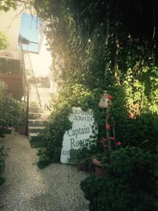 un segno per aaciari roasteryasteryasteryasteryasteryasteryasteryasteryasteryasteryasteryasteryasteryasteryasteryasteryasteryasteryasteryasteryasteryasteryasteryasteryasteryasteryasteryasteryasteryasteryasteryasteryasteryasteryasteryasteryasteryasteryasteryasteryasteryasteryasteryasteryaster di Captain's Rooms a Città di Egina