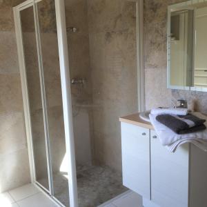 a bathroom with a shower and a sink at Domaine De Camp Joyeux in Puget-Ville