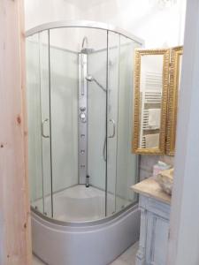 um chuveiro com uma caixa de vidro na casa de banho em Wohnen auf dem Wallwitzhof em Wittenberg