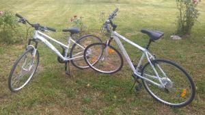 zwei Fahrräder, die nebeneinander im Gras geparkt sind in der Unterkunft Gite Brandet in Savignac-sur-lʼIsle