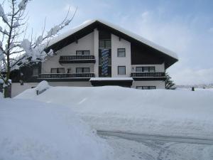 Grattersdorf的住宿－布赫施德奈爾霍夫酒店，前面有一堆积雪的房子