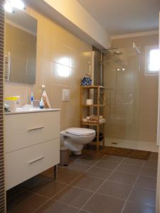a bathroom with a toilet and a sink and a shower at HENDAYE- T2 3*-Wifi-350m plage-terrasse-garage in Hendaye