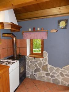 a kitchen with a stove and a stone wall at Holiday Home Na planini in Tolmin