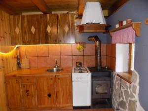 托爾明的住宿－Holiday Home Na planini，小厨房配有炉灶和水槽