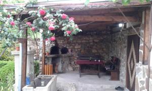 Κήπος έξω από το The House in Shipka +18 φωτογραφίες