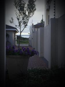 una cerca blanca con flores púrpuras en una maceta de flores en Sharwood Place, en Port Elizabeth 10 fotos más