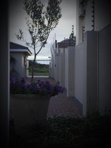 a white fence with purple flowers in a flower pot at Sharwood Place in Port Elizabeth