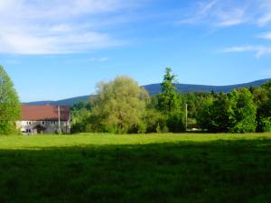 ポビエドナにあるPokoje Gościnne Przy Lesieの家を背景にした草原