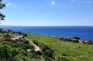 Gallery image of Small House Postup in Orebić