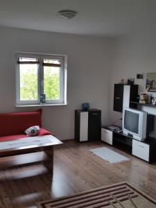- un salon avec un canapé rouge et une télévision dans l'établissement Art Apartment Labin, à Labin
