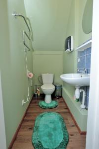 een badkamer met een toilet en een wastafel bij Jaani Külaliskorter in Pärnu