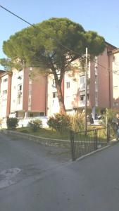インペリアにあるLa casa di Franciの塀付きの建物前の木