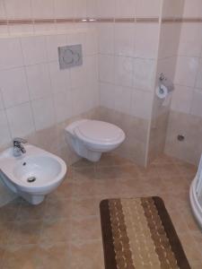a bathroom with a toilet and a sink at Apartment Lučić in Poreč