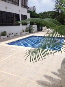 Una palmera sentada junto a una piscina en Apartamento Edificio Bahía Fragata, en San Andrés