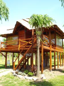 a wooden house with a tree in front of it at Cabañas Manantiales de Obligado in San Pedro