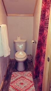 a bathroom with a toilet and a rug at Wonder Inn Outback in Panguitch