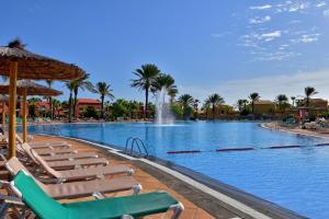 Piscina en o cerca de Appartamento in Oasis tropicale